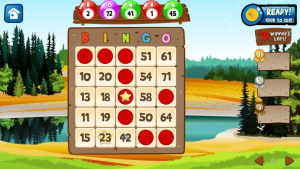 bingo casino az